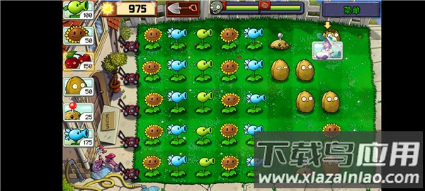 植物娘大战僵尸庄不纯截图4