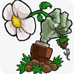 植物大战僵尸真无双版