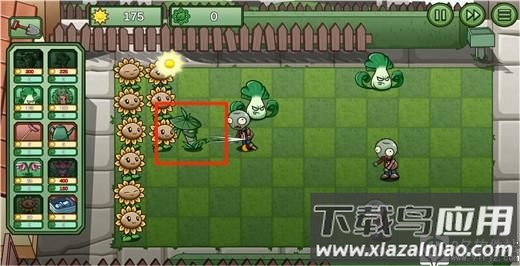 植物大战僵尸bw版