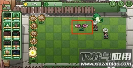 植物大战僵尸bw版