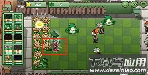 植物大战僵尸bw版