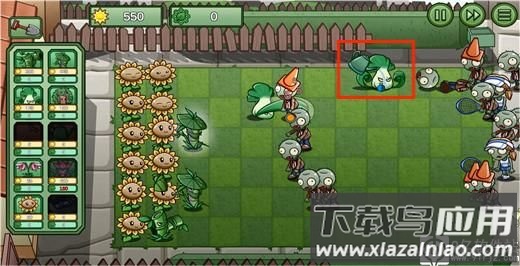 植物大战僵尸bw版