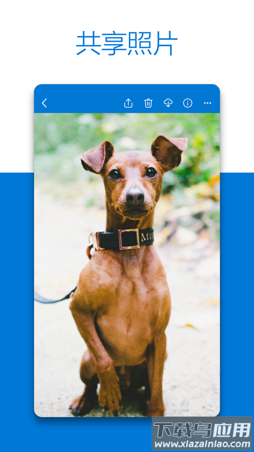 OneDrive安卓版下载最新版截图3