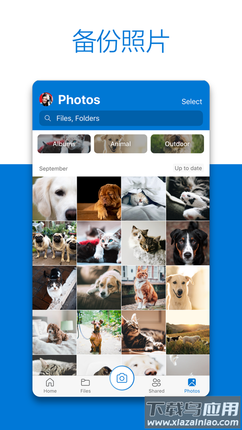 OneDrive安卓版下载最新版截图4