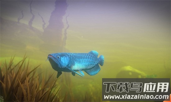 海底大猎杀2021手机版最新版截图1