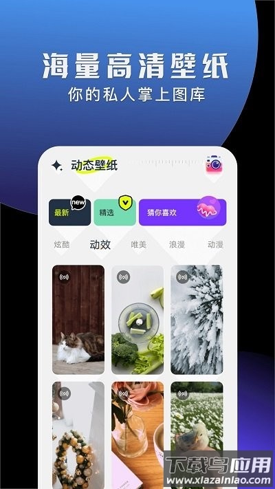 手机动态壁纸大全官方版最新版截图2