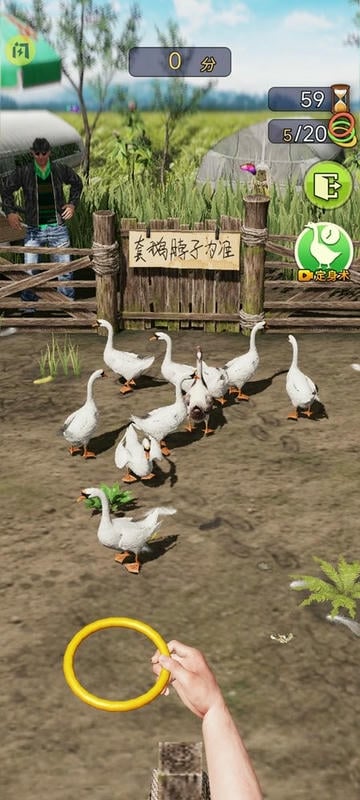 天天套圈官方版