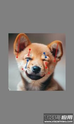 DragGAN AI app最新版截图2