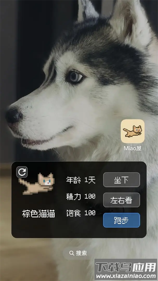 Miao屋手游最新版最新版截图1