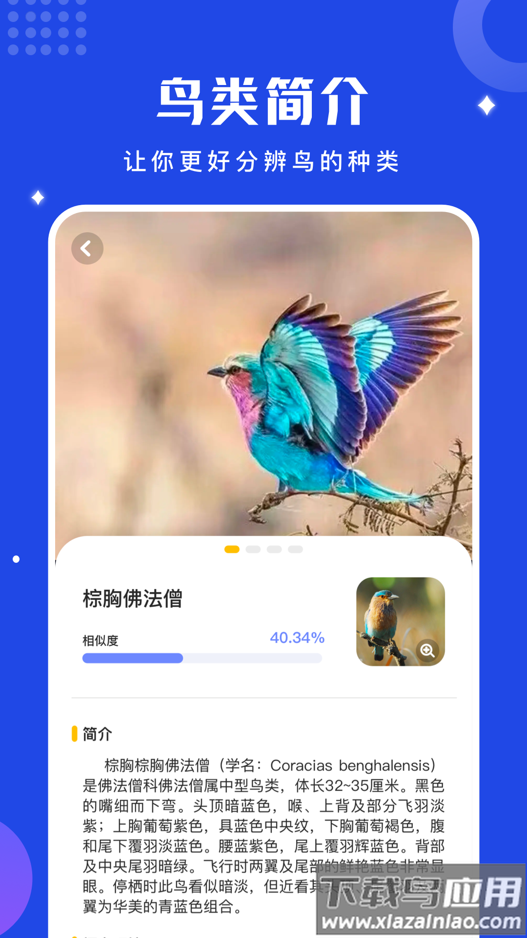 鸟语语言翻译器官方版(鸟语翻译器)最新版截图3