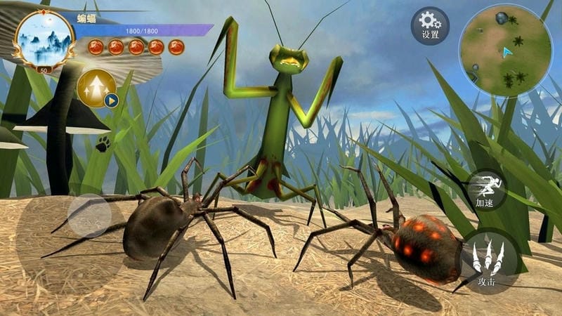 蜘蛛模拟生存官方版