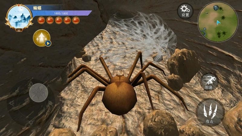 蜘蛛模拟生存游戏破解版最新版截图3