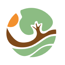 浙里乡情官方版