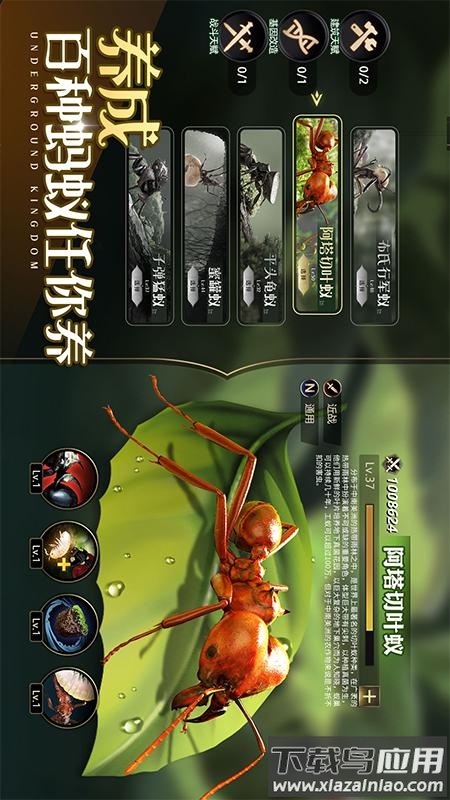 小小蚁国华为版本最新版截图1