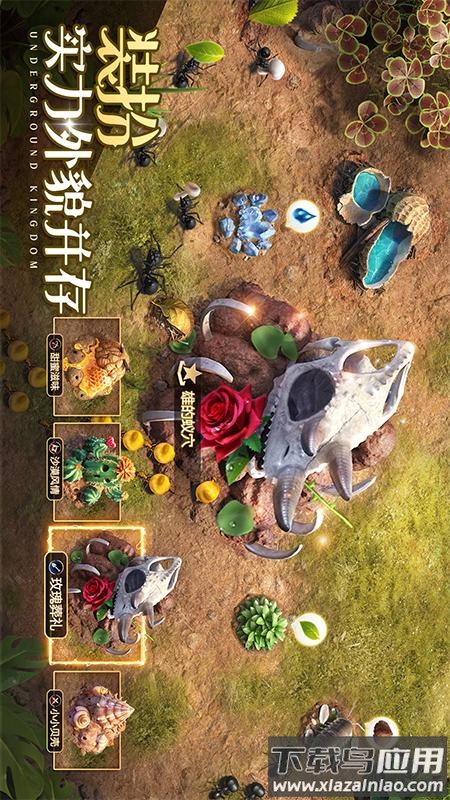 小小蚁国华为版本最新版截图2