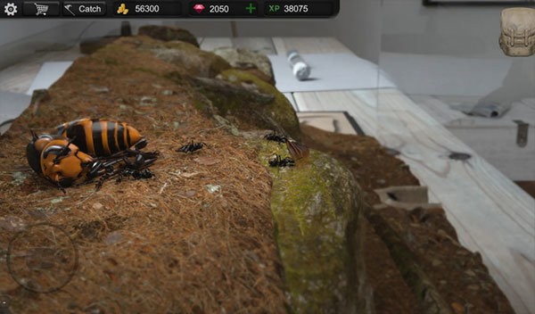 蚂蚁模拟大亨(Ant Sim Tycoon)最新版截图3