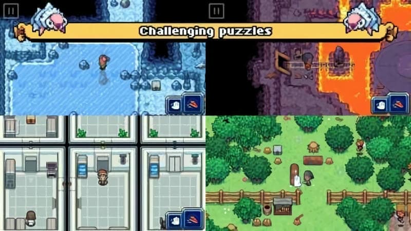 口袋科洛蒙官方版