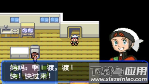 口袋妖怪绿宝石精装版最新版本最新版截图1