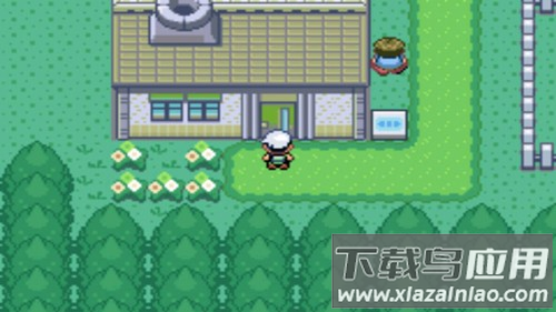 口袋妖怪绿宝石精装版最新版本最新版截图3