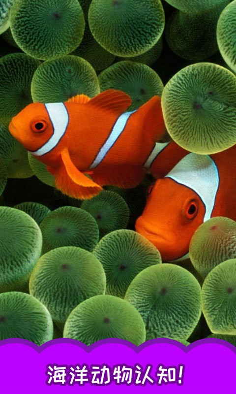 儿童大鱼吃小鱼最新版最新版截图1