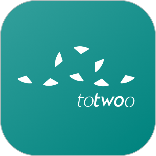 totwoo手镯