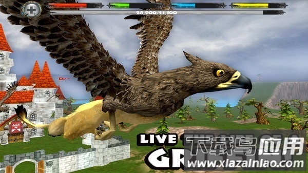 狮鹫模拟器最新版本最新版截图2