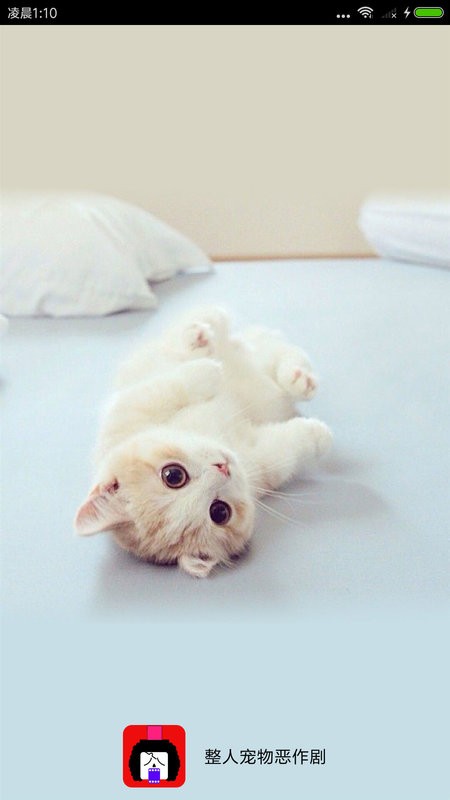 整人宠物恶作剧手机版最新版截图1
