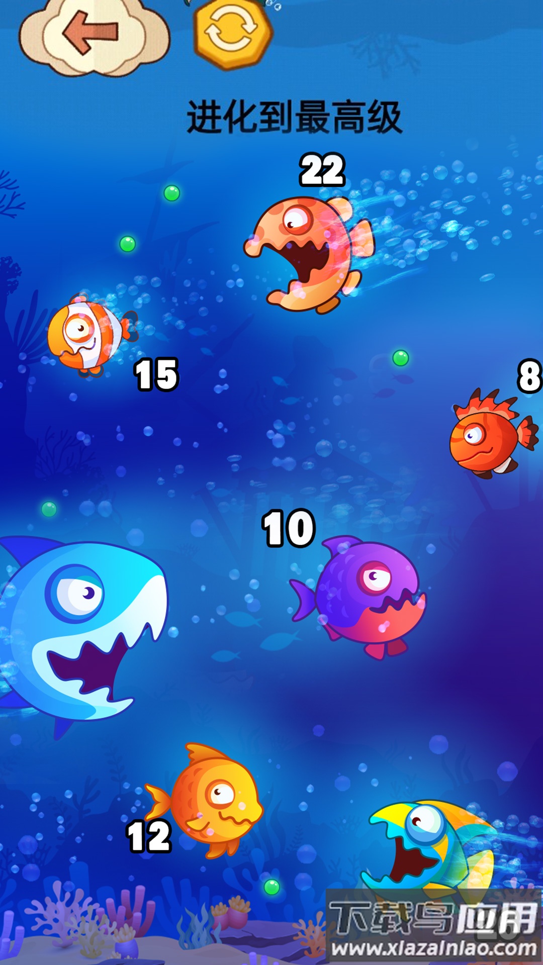 大鱼吃小鱼贼六下载安装最新版截图3