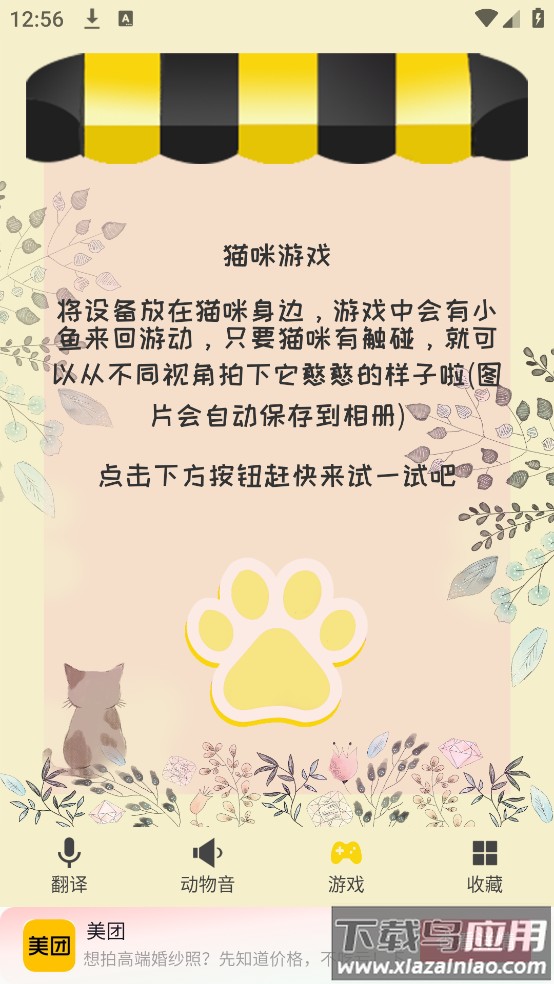 猫语翻译软件最新版截图1