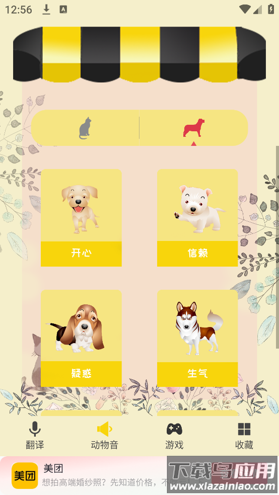 猫语翻译软件最新版截图4
