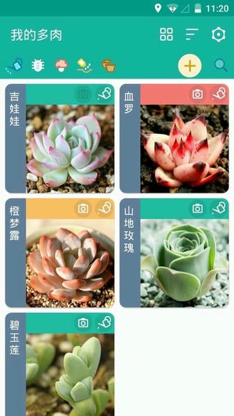 多肉成长记录最新版截图4