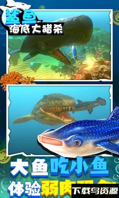 鱼鱼大作战游戏最新版截图3