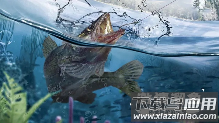 天天钓鱼下载最新版截图1