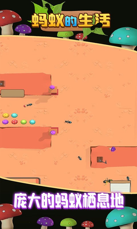 蚂蚁的生活官方版最新版截图3