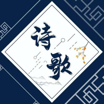 萝卜书摘app安卓手机版