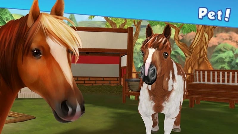 我的动物寄养所破解手机版