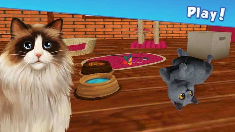 我的动物寄养所无限金币版(PetHotel)最新版截图1