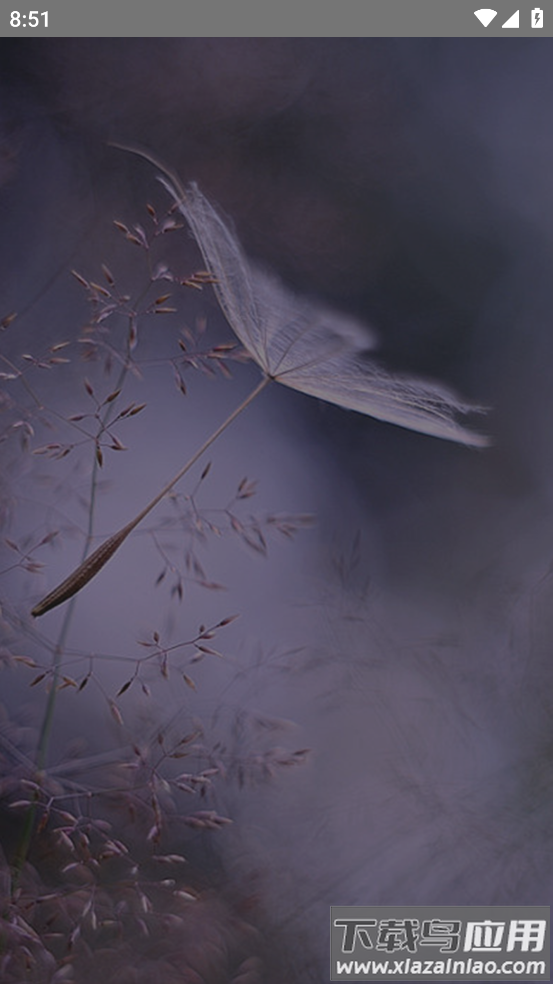 启店通app官方下载最新版最新版截图4