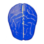 逻辑测试游戏正版