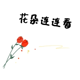 花朵连连看官方安卓版