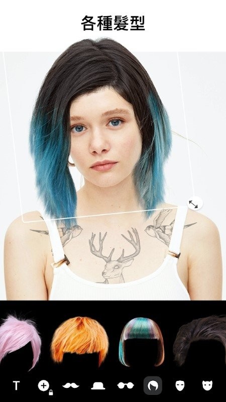 poster手机版截图1