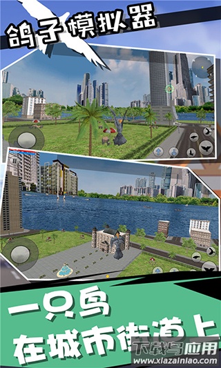 鸽子模拟器中文版下载安装最新版截图1