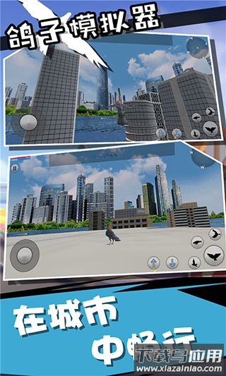 鸽子模拟器中文版下载安装最新版截图2
