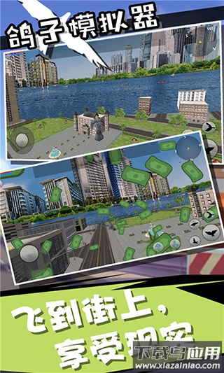 鸽子模拟器中文版下载安装最新版截图3