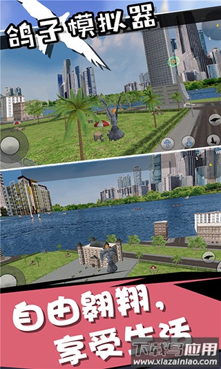 鸽子模拟器中文版下载安装最新版截图4