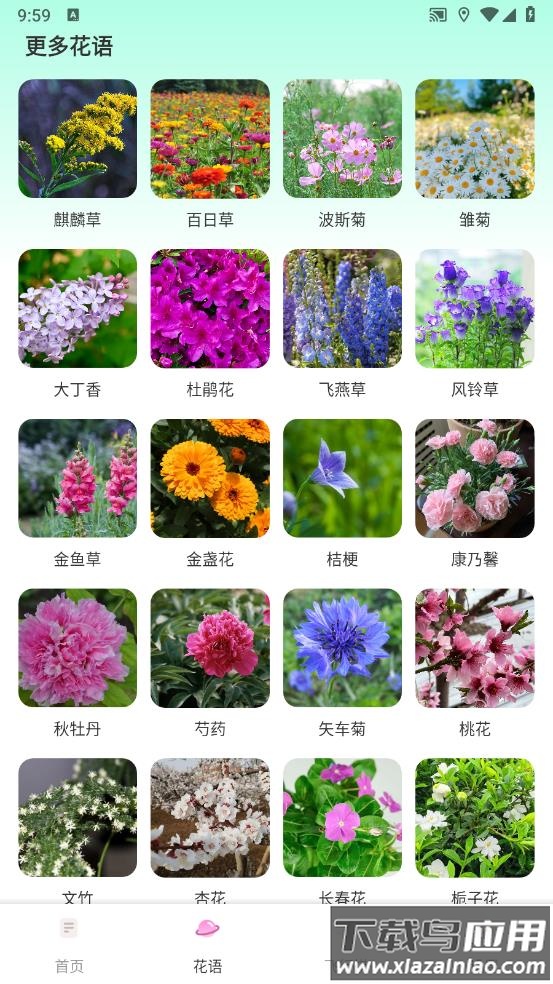 樱桃IMapp最新版截图3