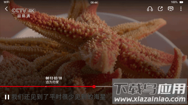 新视听app官方版截图1