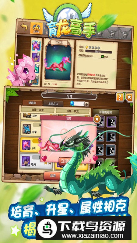 育龙高手华清飞扬官方正版最新版截图5