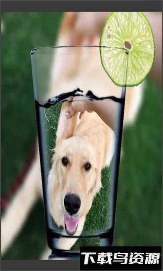 趣拍玩图照相机手机版最新版截图2