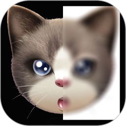 趣拍玩图照相机手机版